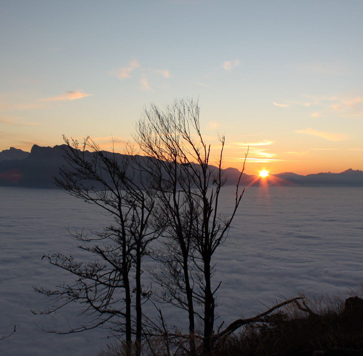 Wir schenken Zeit und Zuwendung!